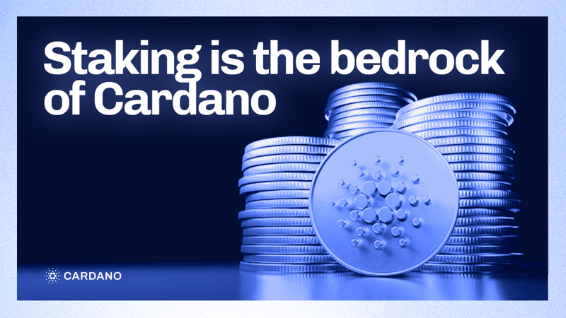 ADA (Cardano) Staking - Earn Up To % In Rewards - Figment