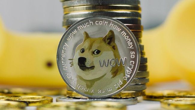 1 DOGE to Satoshi (Dogecoin to Satoshi) | convert, exchange rate