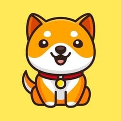 DOGE to ZAR (Dogecoin to South African Rand) | convert, exchange rate