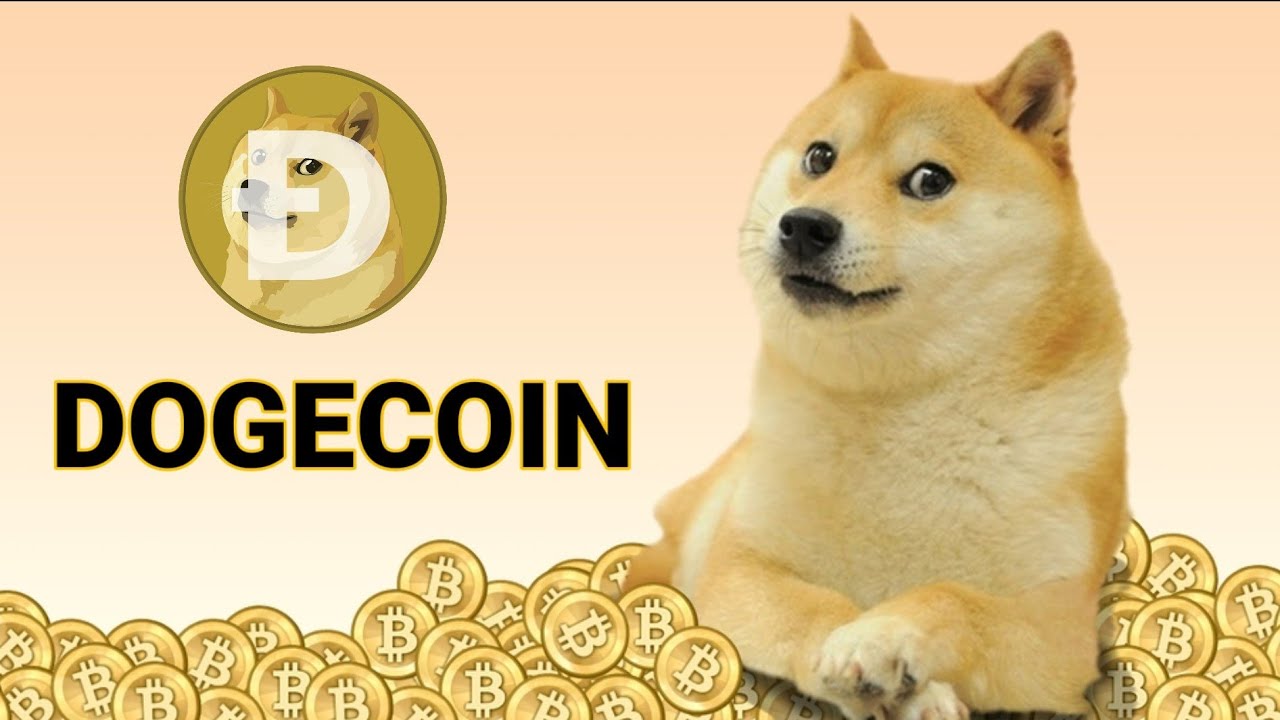 Convert DOGE to PKR - Dogecoin to Pakistani Rupee Calculator