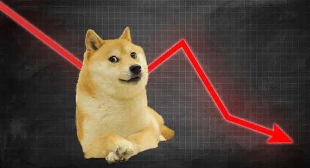 1 DOGE to USD - Dogecoins to US Dollars Exchange Rate