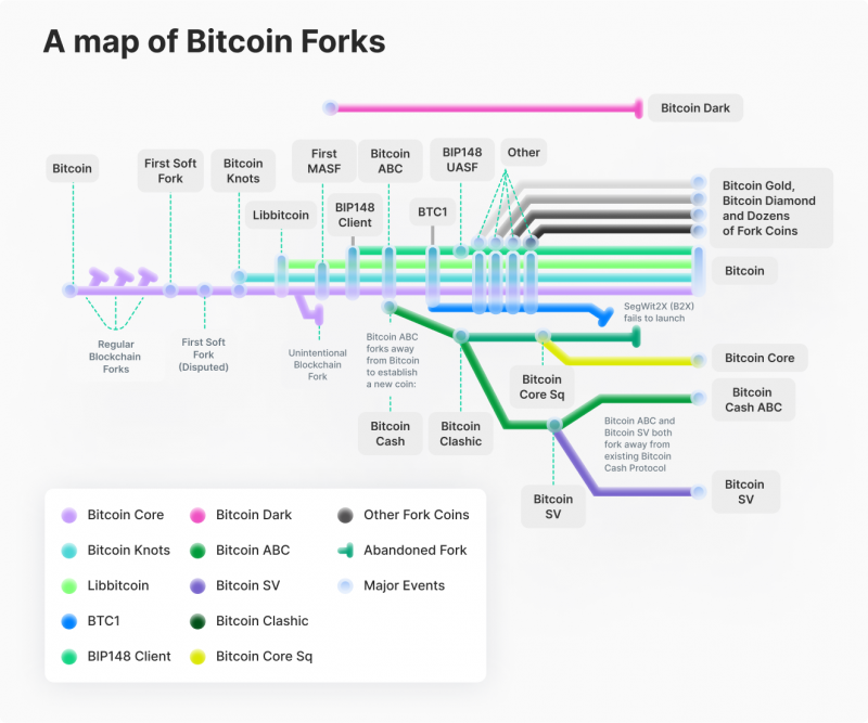 What Happens During a Ledger Fork? - Gini Foundation