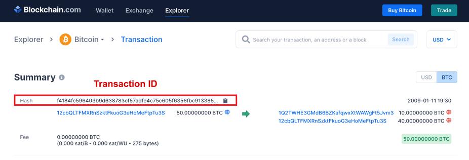 Blockchain explorer — check transaction hash & track other cryptocurrency information