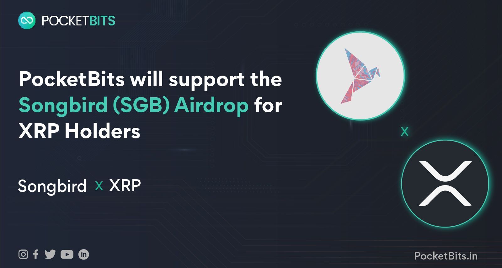 Discovering Songbird Crypto (SGB): All You Need to Know