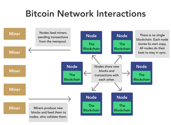 Blockchain Nodes | What Are Nodes and How Do They Work?