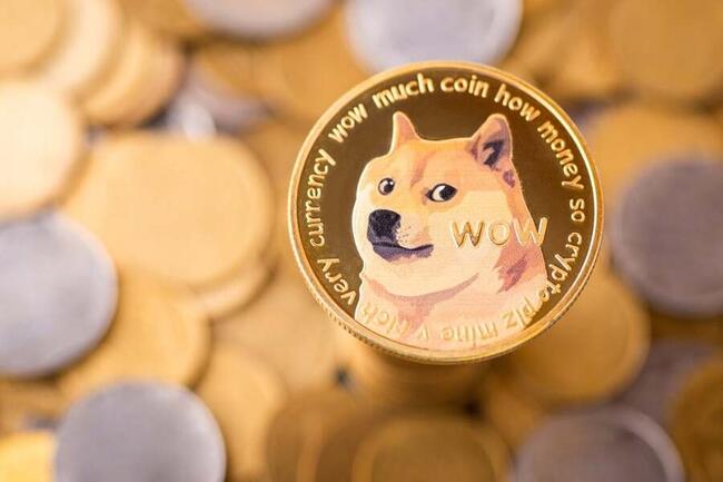 DOGE to ZAR - Dogecoin to South African Rand Converter - cointime.fun