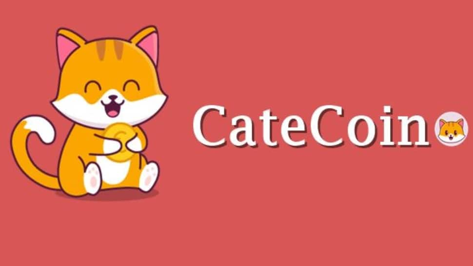 Cat-Themed Meme Coin, Big Eyes Coin all set to shake Cryptoverse | Mint