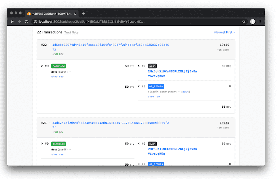 How To Setup A Custom Bitcoin Testnet? An easy guide| Ulam Labs