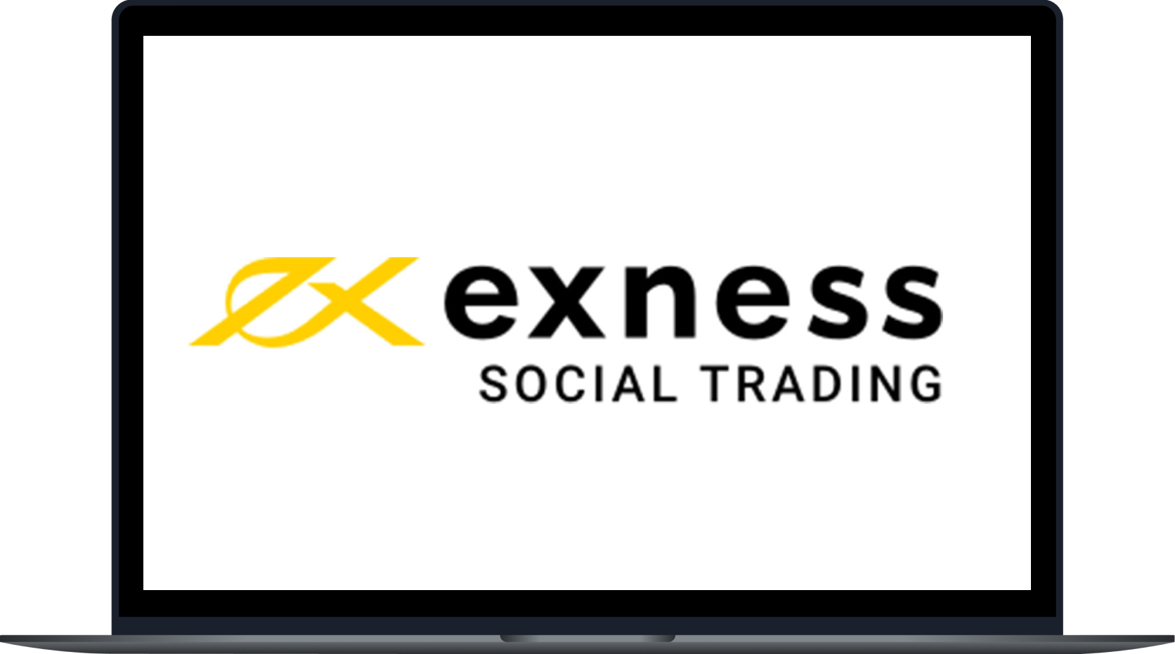 Exploring Exness Broker's Social Trading Features and Benefits