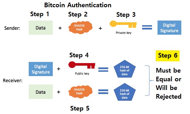 What is Metadata in Bitcoin Transaction and Blockchain?