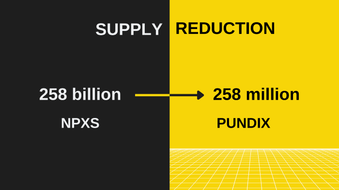 Pundi X (NPXS) Reviews & Ratings : Revain