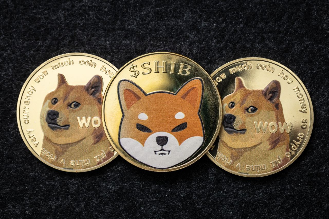 Dogecoin Price Prediction For January | FMCPay News