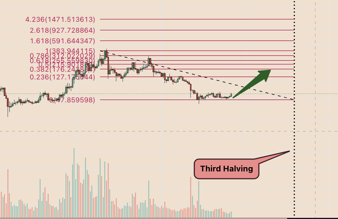 Litecoin Price in USD Chart