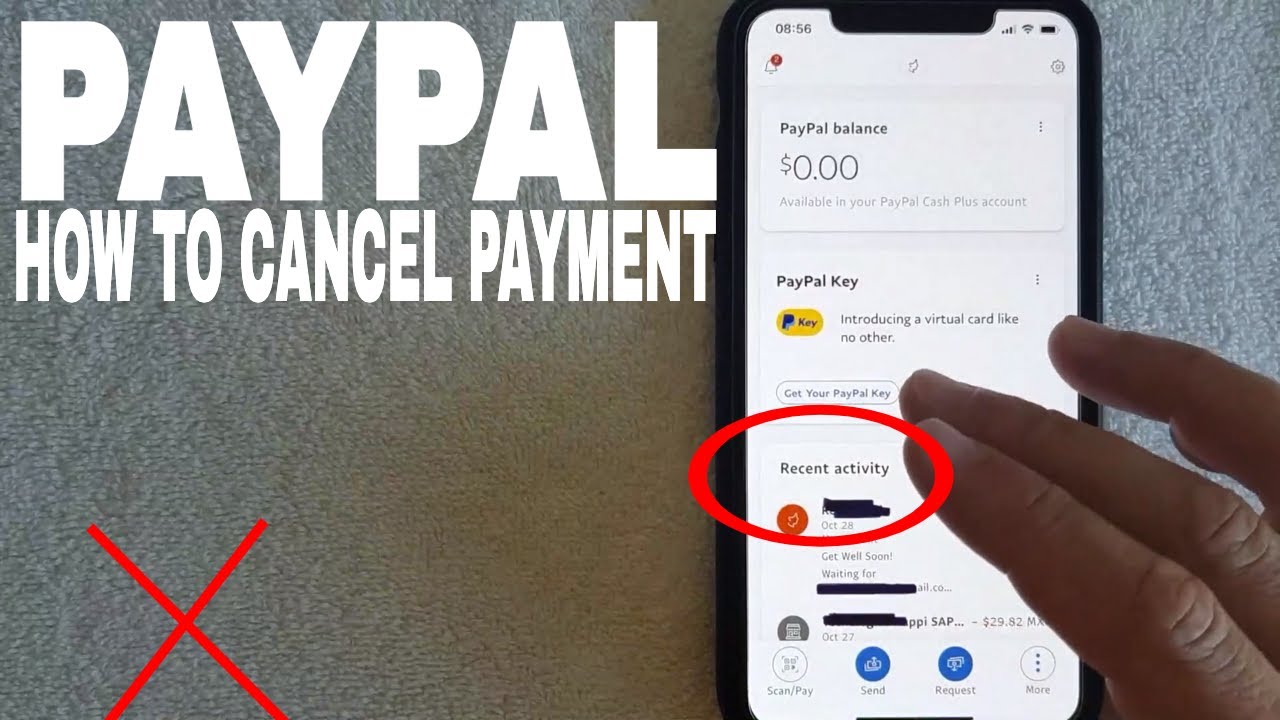 I want my money back. Can I cancel a payment? | PayPal ZA