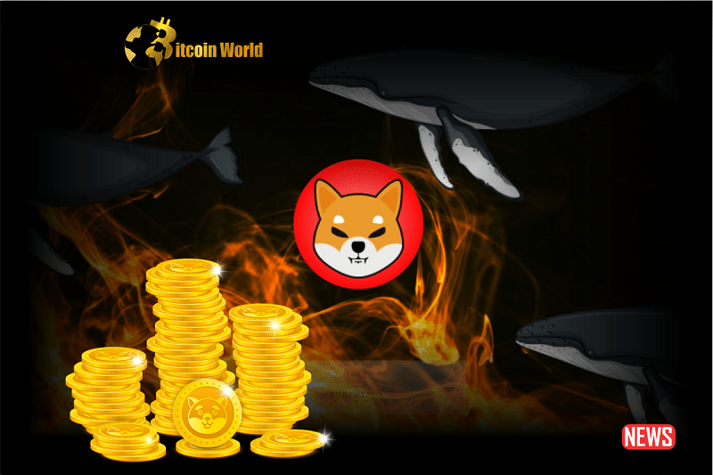 Bullish: Shiba Inu Becomes Largest Token Holding Among Top Ethereum Whales | cointime.fun