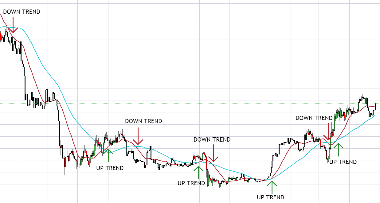 Follow Coin (FLLW) live coin price, charts, markets & liquidity