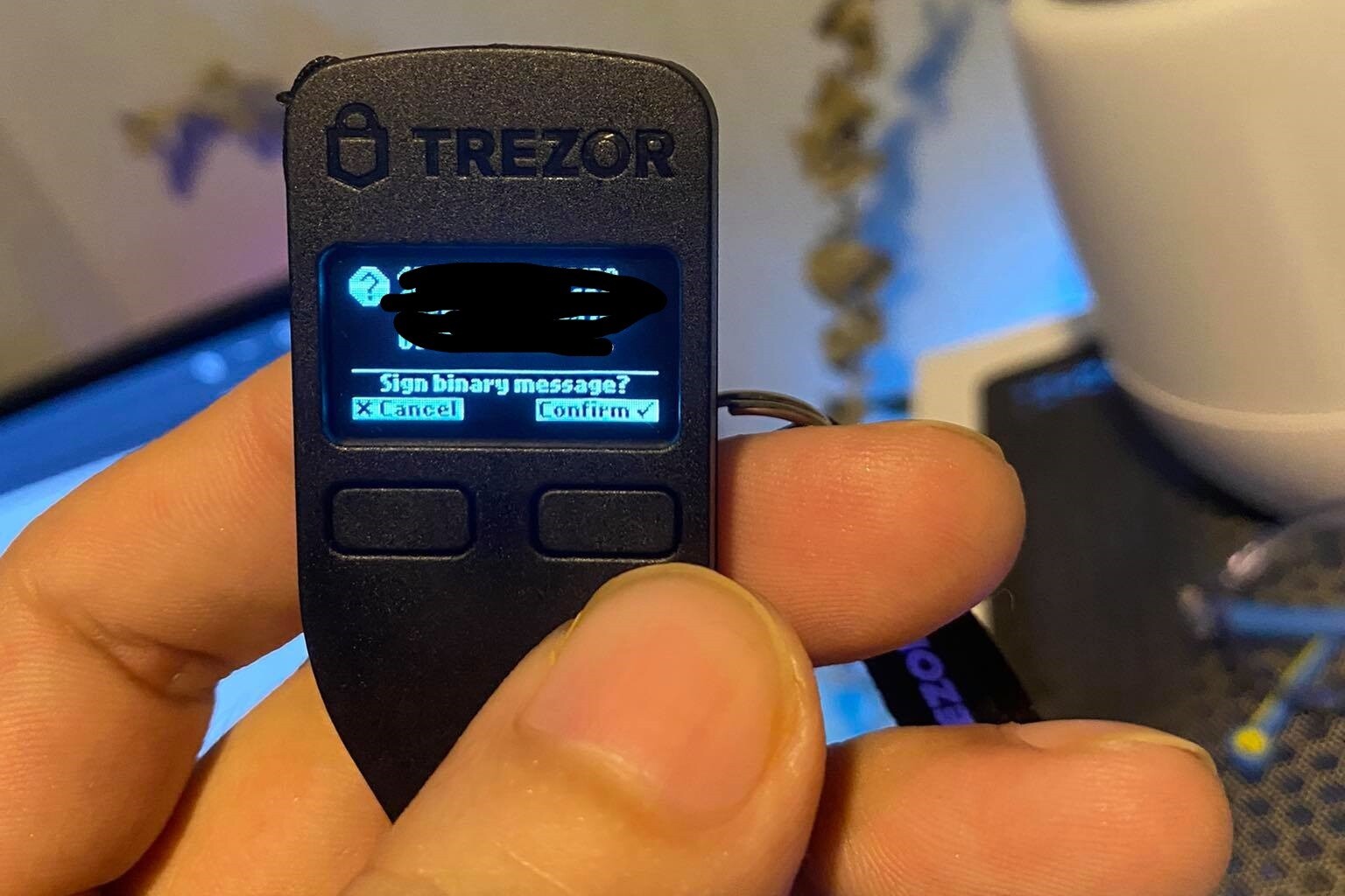 How to Connect & Use Trezor | Moonbeam Docs