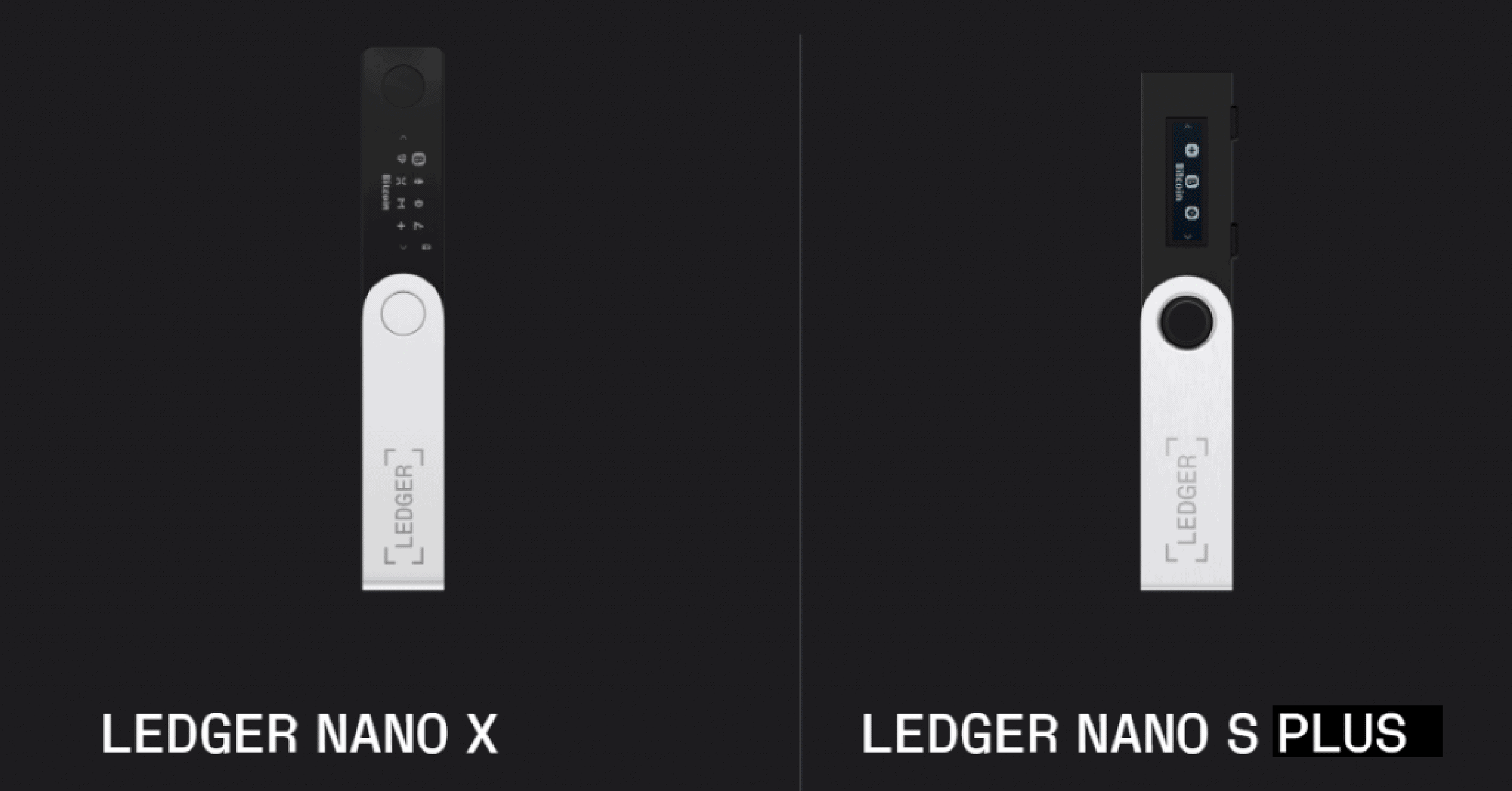 Ledger Nano S Plus Vs Nano X Review - Wealth Mastery By Lark Davis - Crypto Newsletter