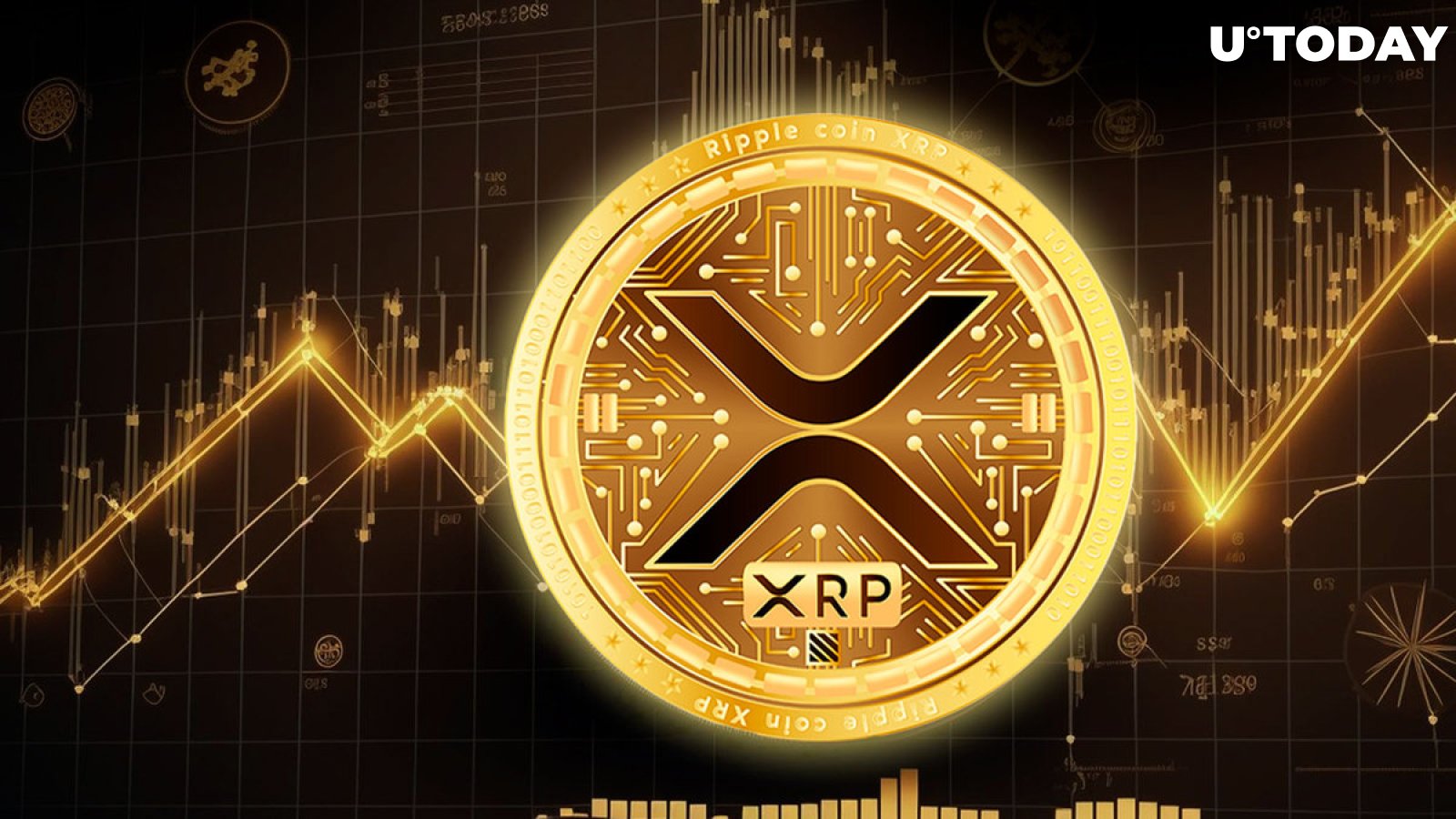 Discover the Best Ripple Merchants: Top Platforms to Spend Your XRP - cointime.fun