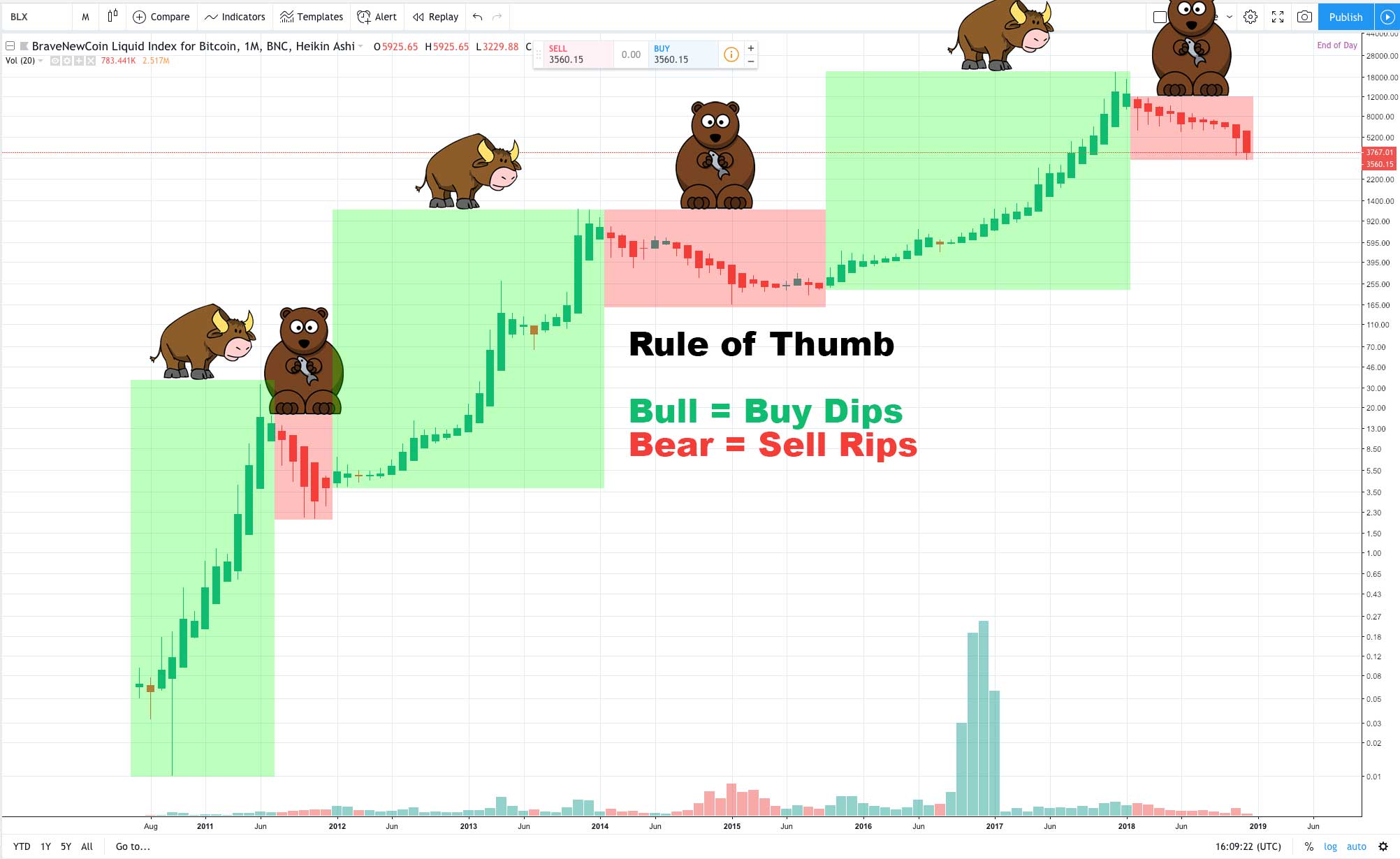 Crypto: Navigating Bear and Bull Markets