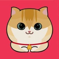 Catcoin BSC price today, CAT to USD live price, marketcap and chart | CoinMarketCap