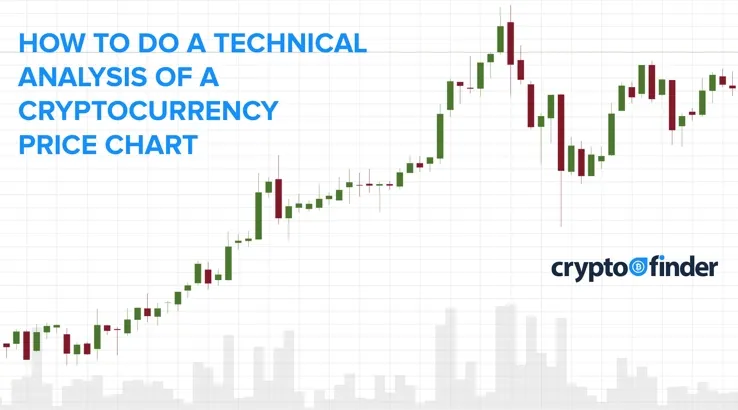 Volatile bitcoin falls from record high as crypto frenzy hits pause | Reuters