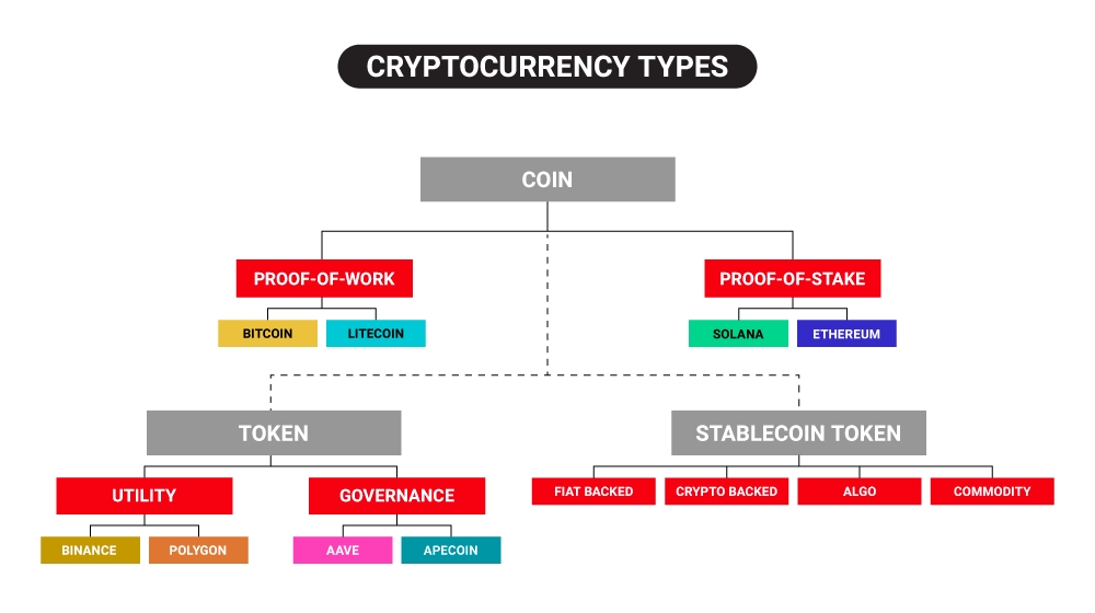 Types of Crypto You Should Know