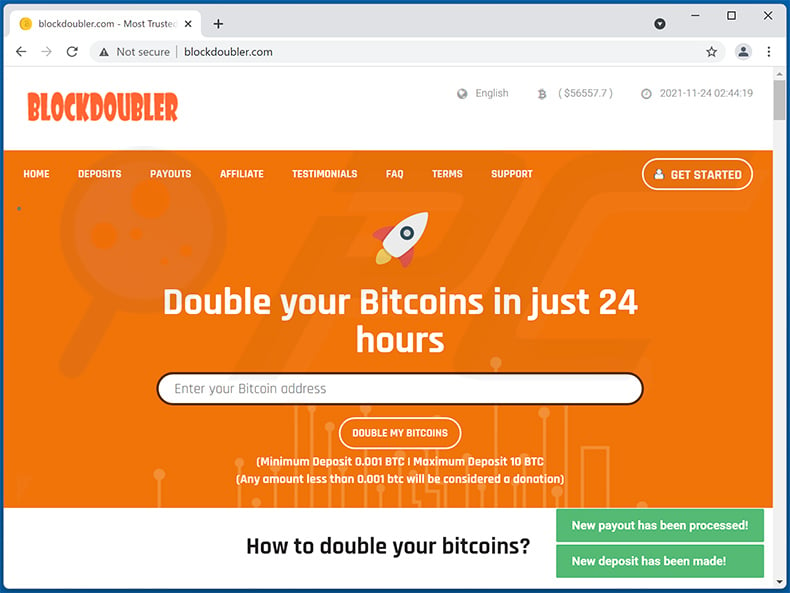 DOUBLE BITCOIN IN 48 HOURS - 48 Reviews - Crypto Gambling - cointime.fun