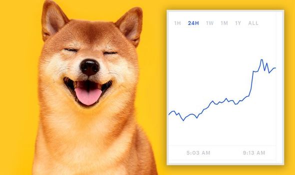 Convert 1 USD to DOGE - United States Dollar to Dogecoin Exchange Rate