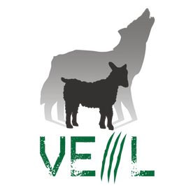 Veil | Read the Docs
