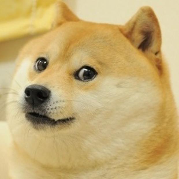 Doge Meme Generator - Imgflip | Doge meme, Memes, Doge