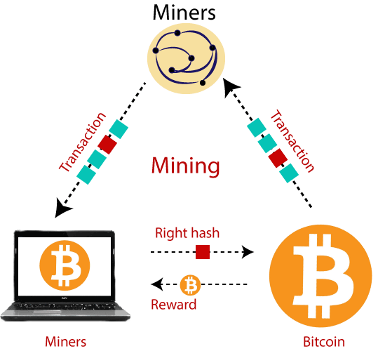 [] Full Bitcoin Blockchain Data Made Easy