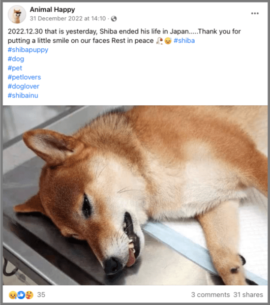 CLAIM: Dogecoin’s Mascot Dog Allegedly Died, DOGE Price Makes Sudden Moves