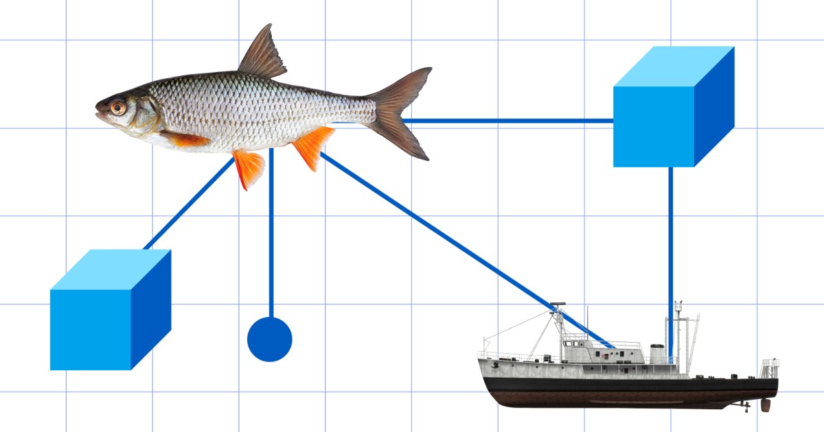 Fishcoin: Blockchain Based Seafood Traceability & Data Ecosystem