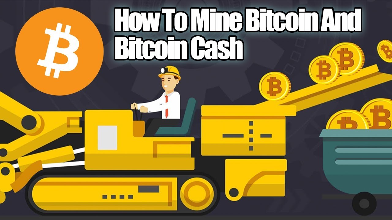 How to mine Bitcoin Cash (BCH) - Bitnovo Blog