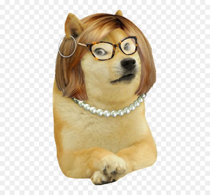 Doge Meme png images | PNGWing