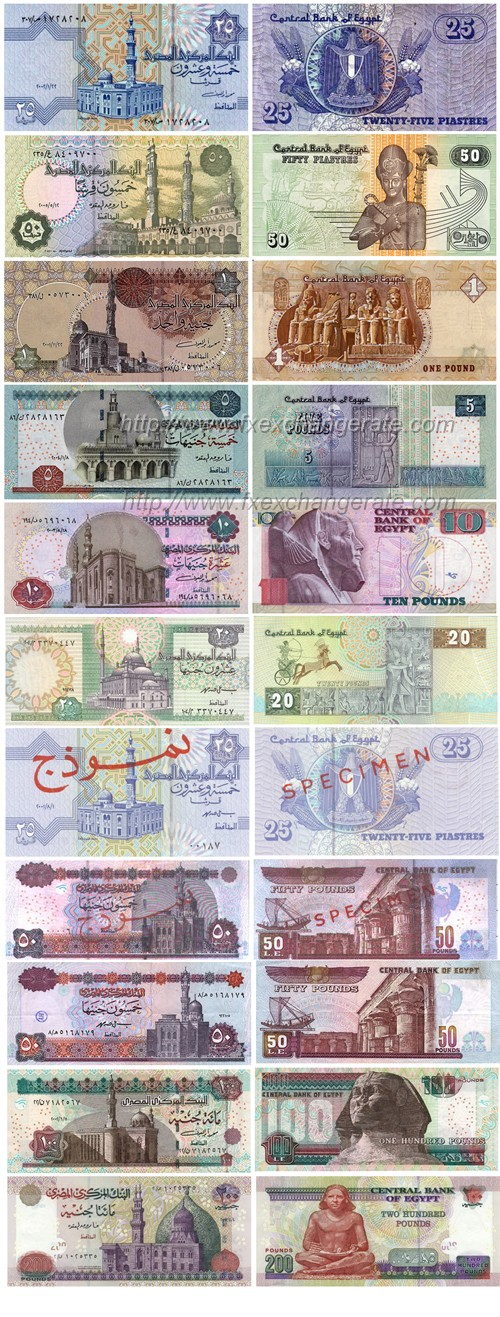 1 USD to EGP | Convert US Dollars to Egyptian Pounds Exchange Rate