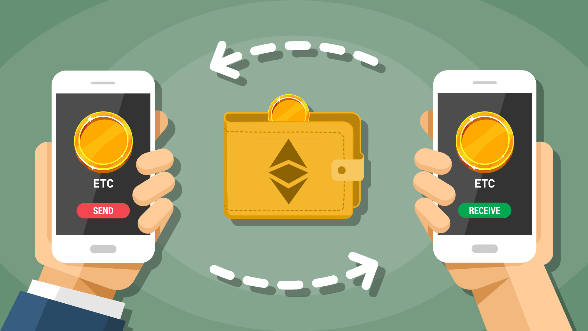 Top Hot and Cold Ethereum Wallets - NerdWallet