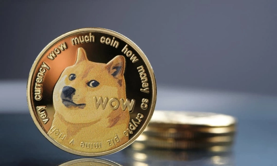 Live Dogecoin Price – How Does it Compare to Other Cryptocurrencies? - cointime.fun