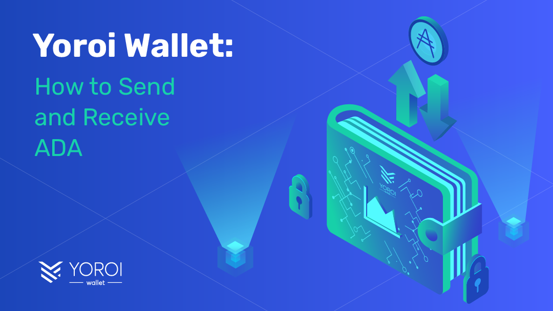 6 Best Cardano (ADA) Wallets in !