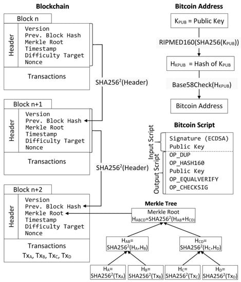 Bitcoin Node: Web3 RPC BTC nodes API | cointime.fun