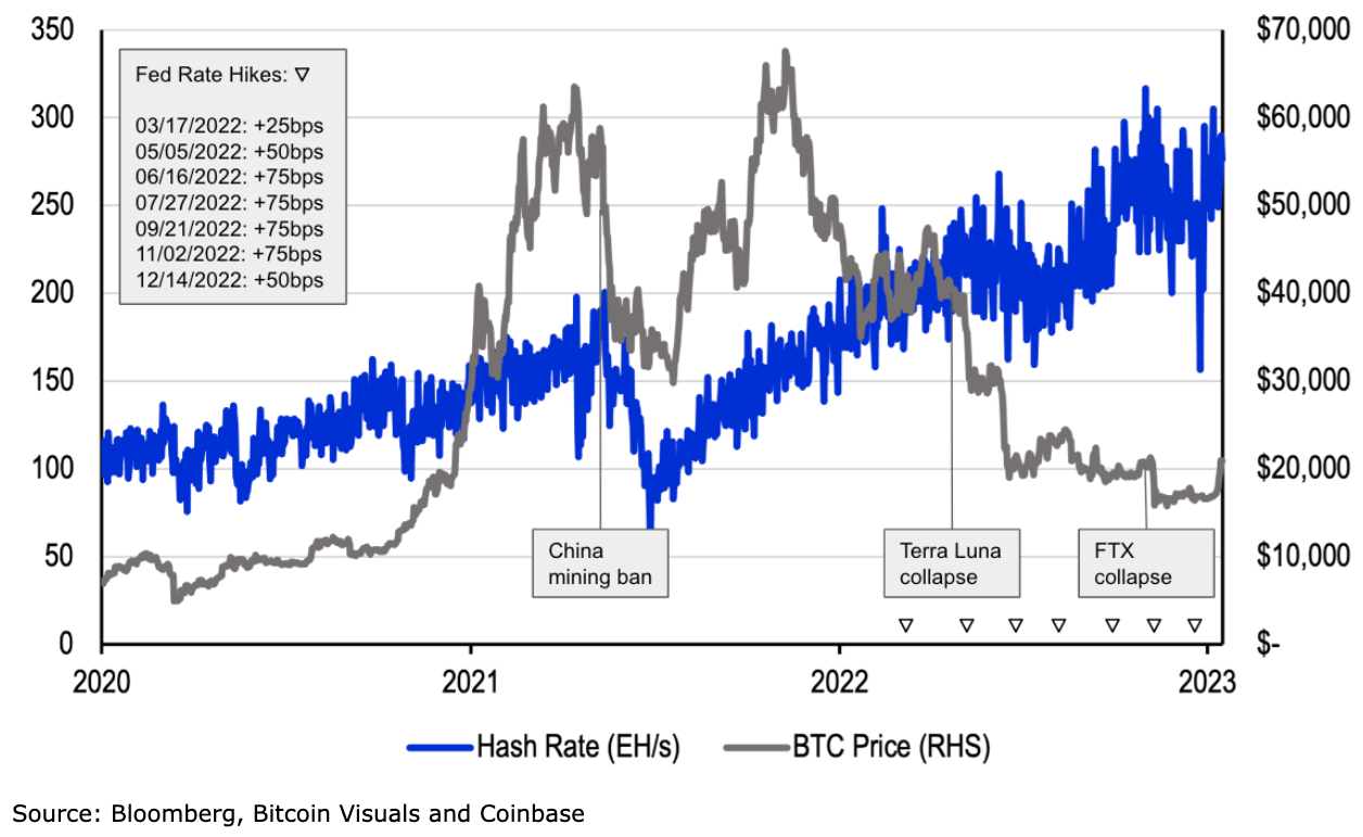 Bitcoin Hashrate vs Price | Newhedge