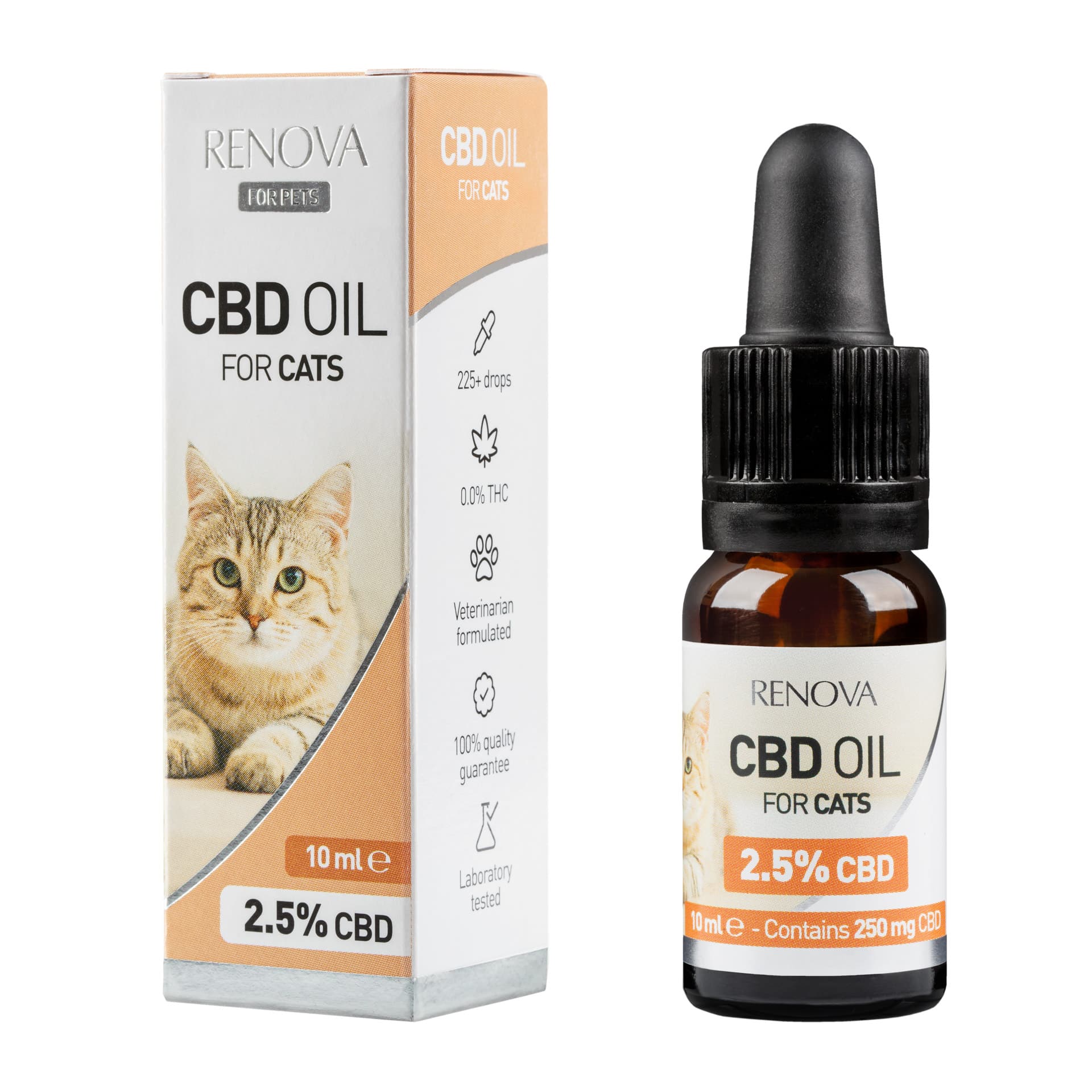 CBD Oil for Cats UK | The Ultimate Buyer's Guide