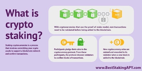 Explainer: What is 'staking,' the cryptocurrency practice in regulators' crosshairs? | Reuters