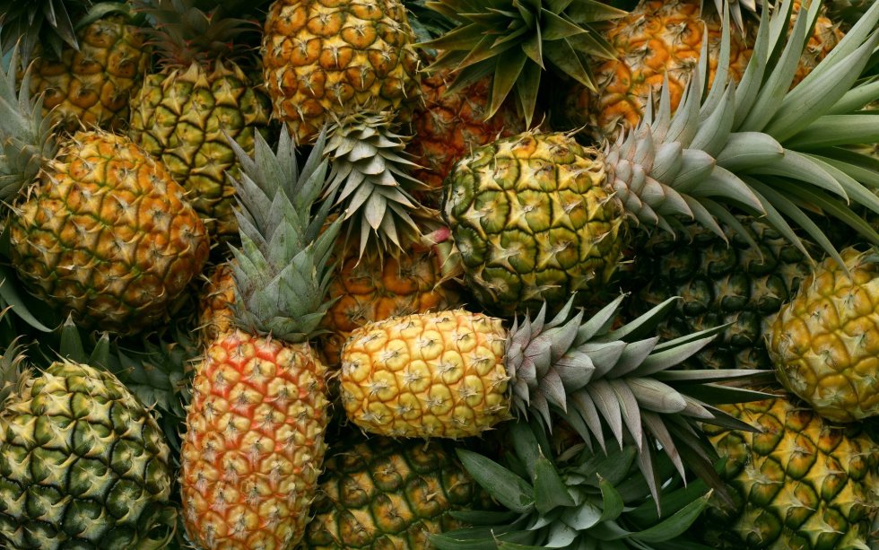 Pineapple Fund: why is an anonymous bitcoin millionaire giving away $86m? | Bitcoin | The Guardian