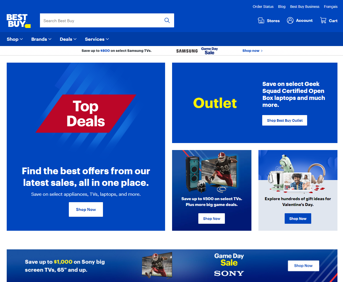 Best Buy Canada Software Purchases and Digital Transformation Initiatives