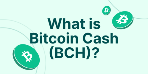 Bitcoin Cash Price Today - BCH Coin Price Chart & Crypto Market Cap