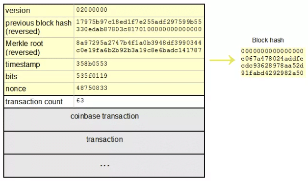 What Hashing Algorithm Does Bitcoin Use to Hash Blocks? - Crypto Head