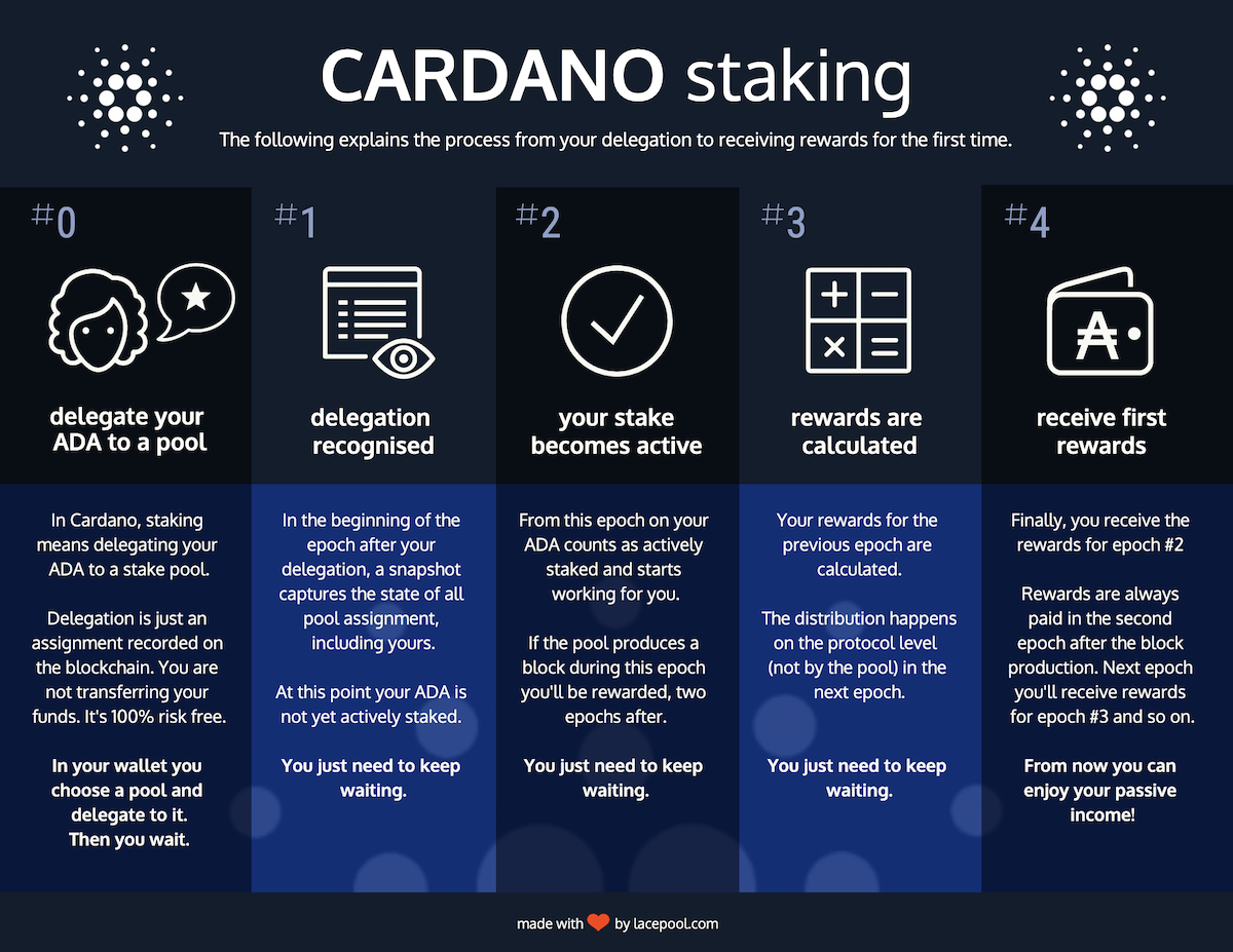 Best Cardano Stake Pool 