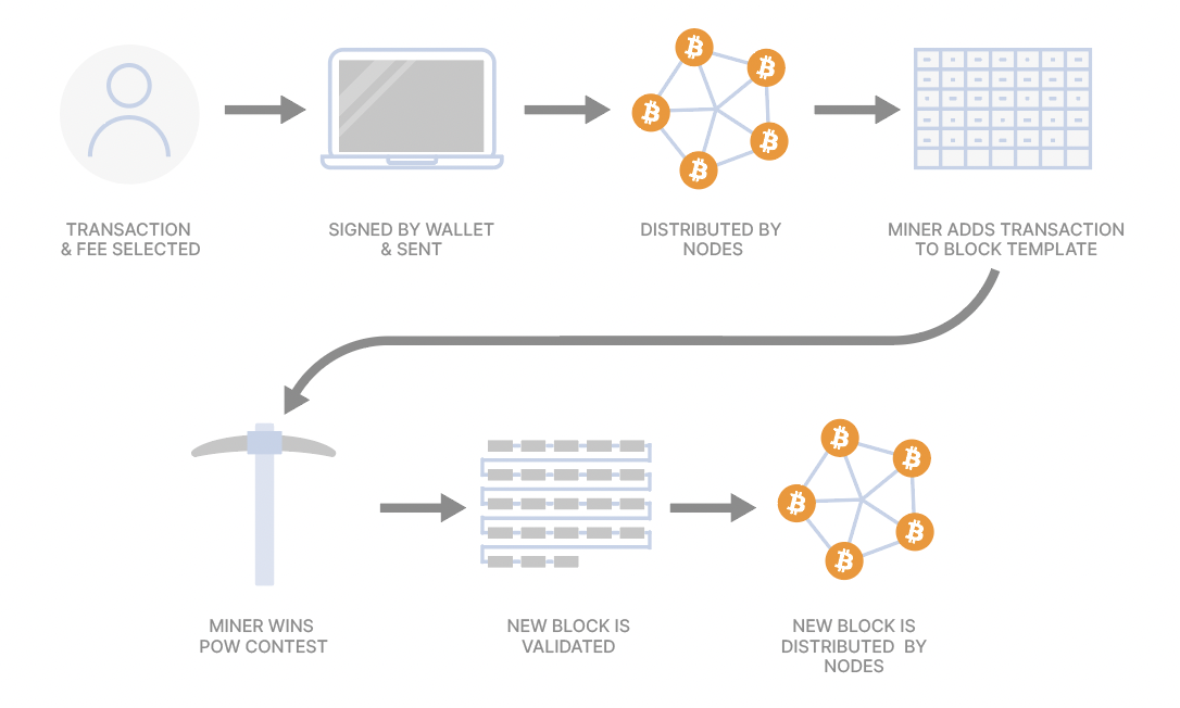 6. The Bitcoin Network - Mastering Bitcoin [Book]